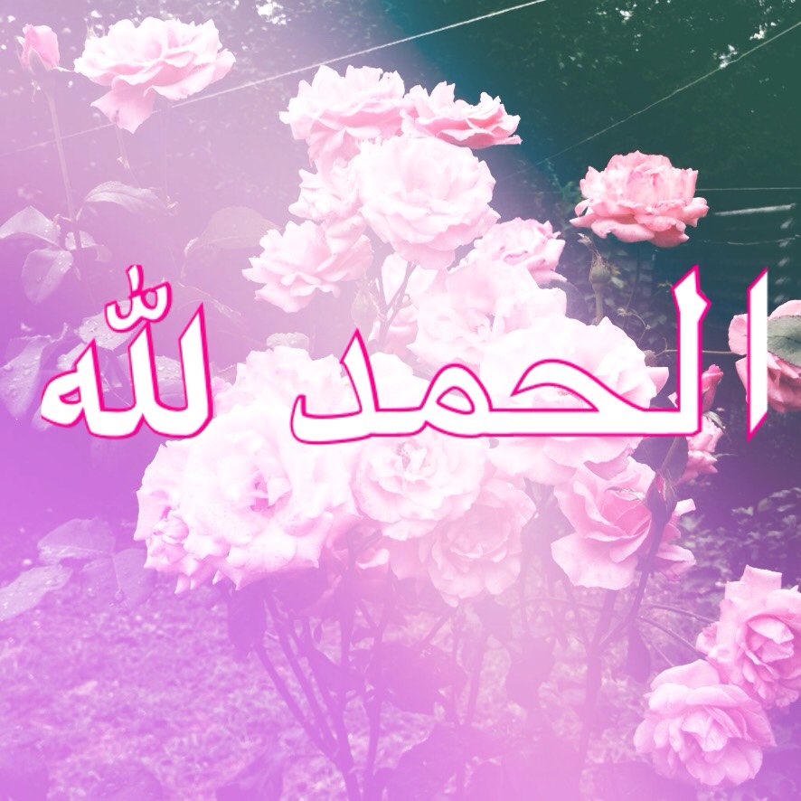 Picsart profile picture for @sda7