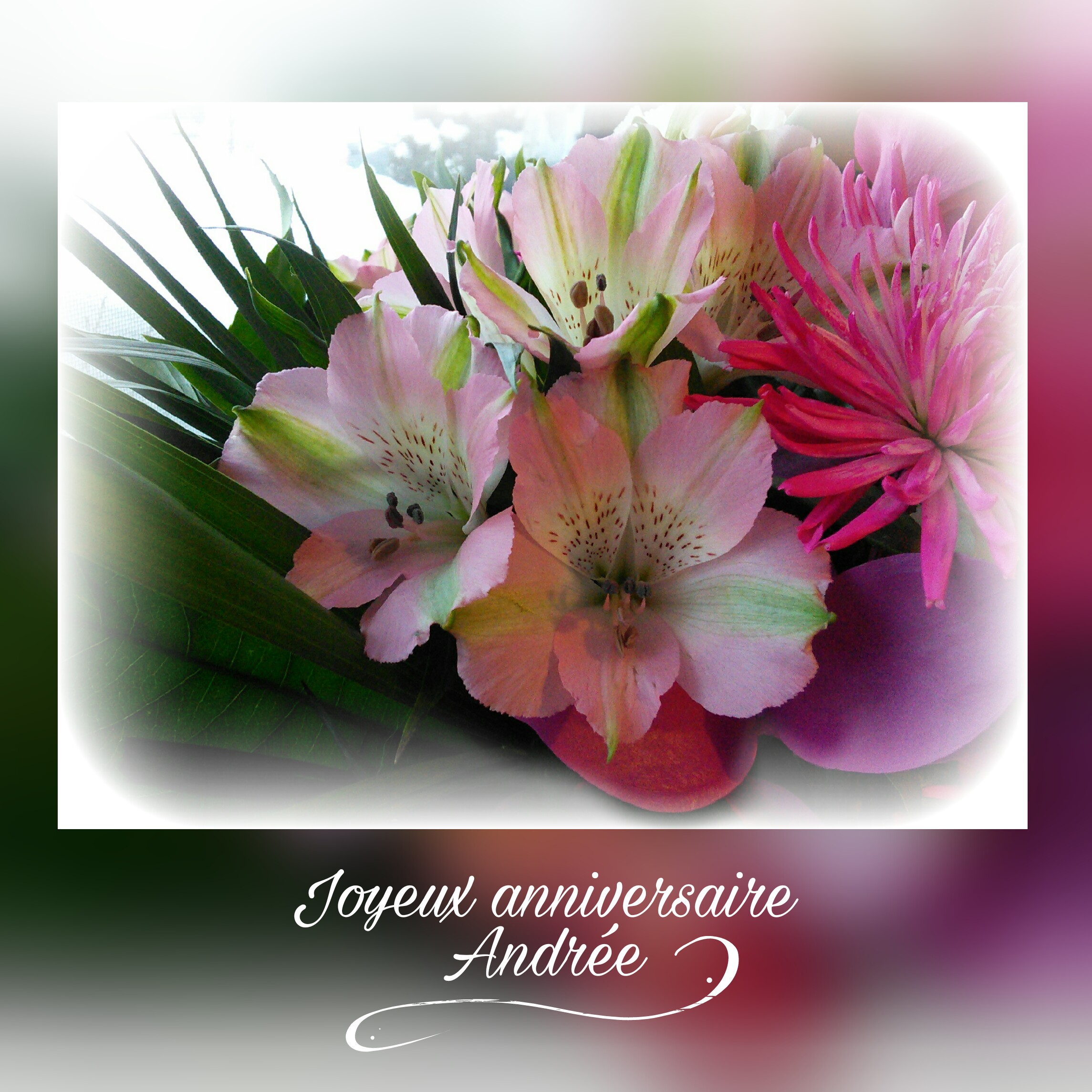 Happybirthday Flowers Image By Claire Belzile 9